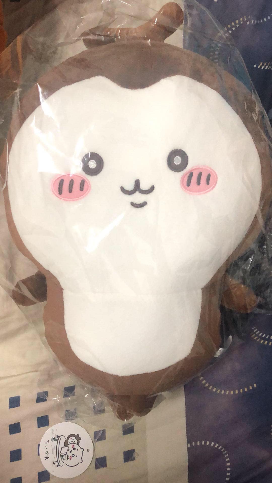 甲蟲卡套+甲蟲景品