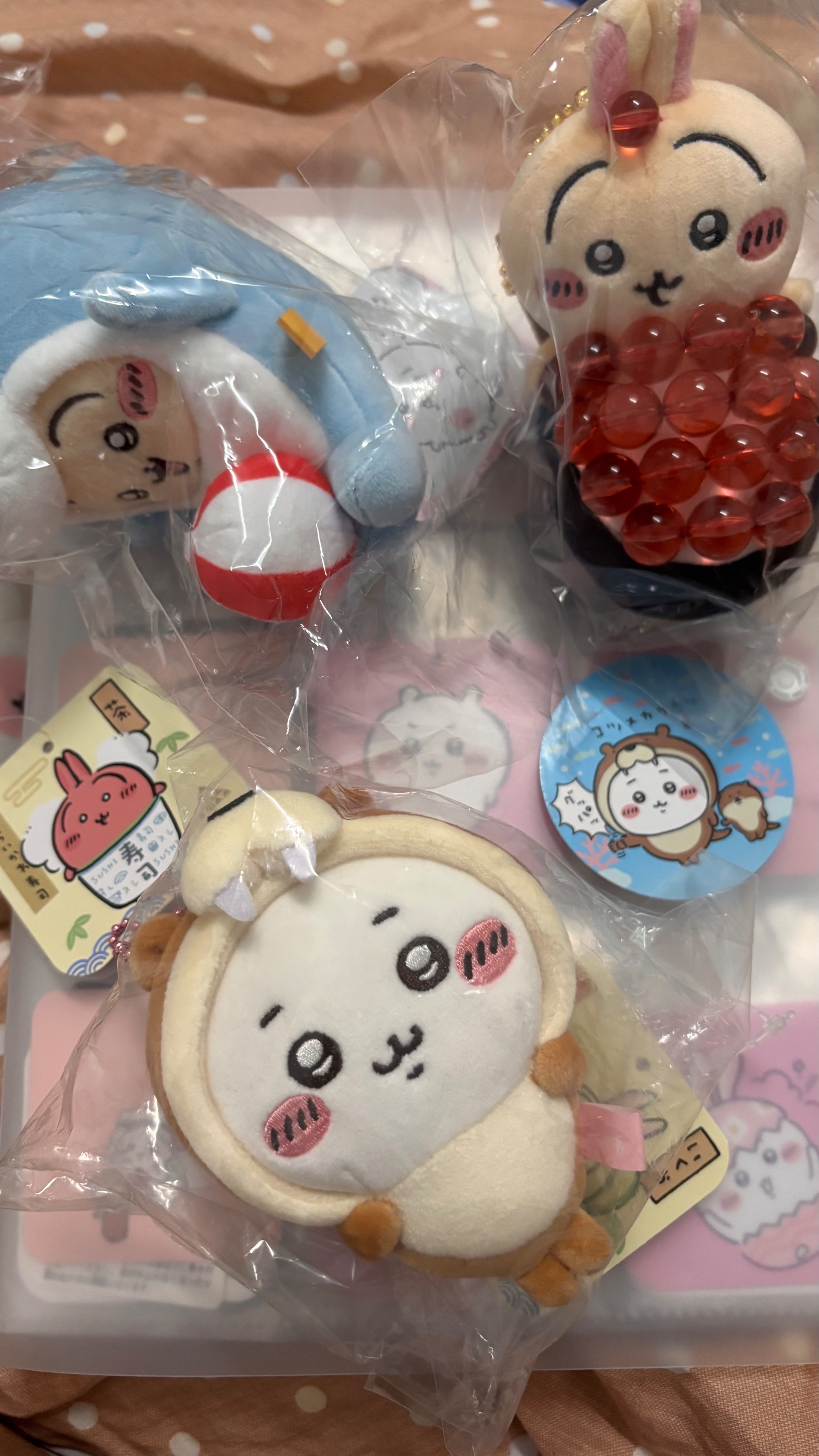 鮭魚卵兔兔 海豚兔兔 海獺吉伊