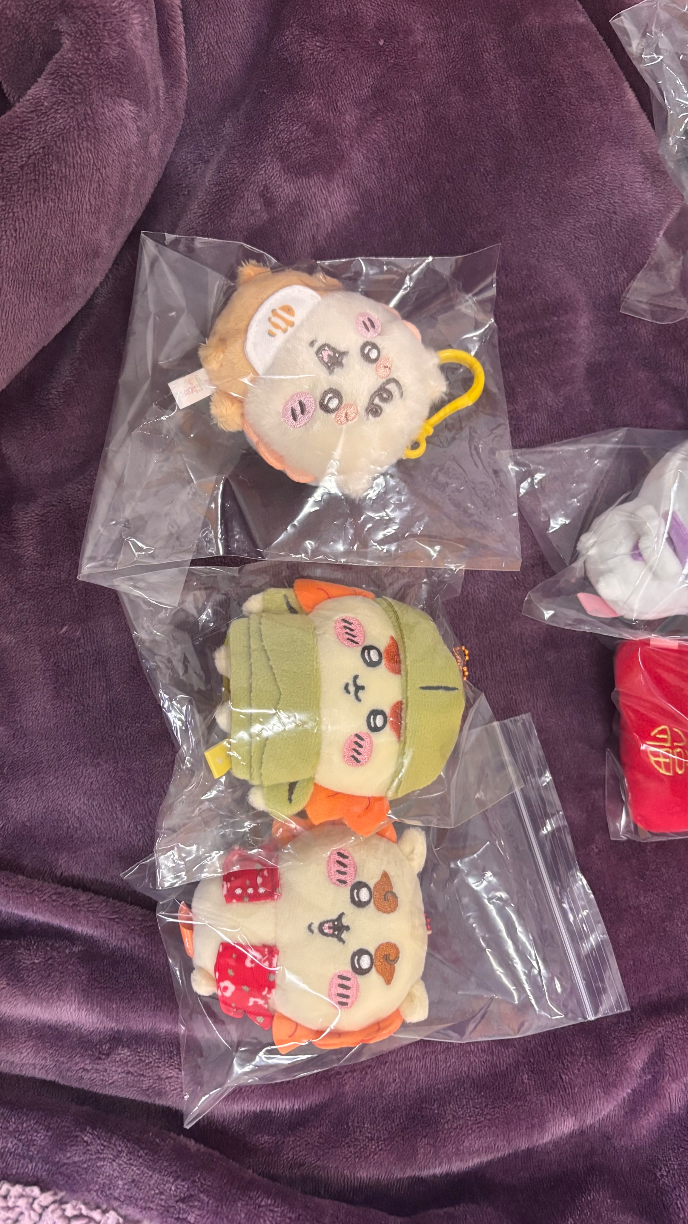 獅薩寶寶們 已匯款