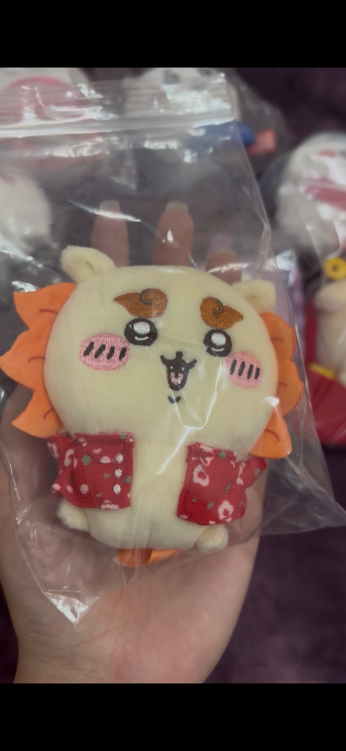 已匯款獅薩寶寶