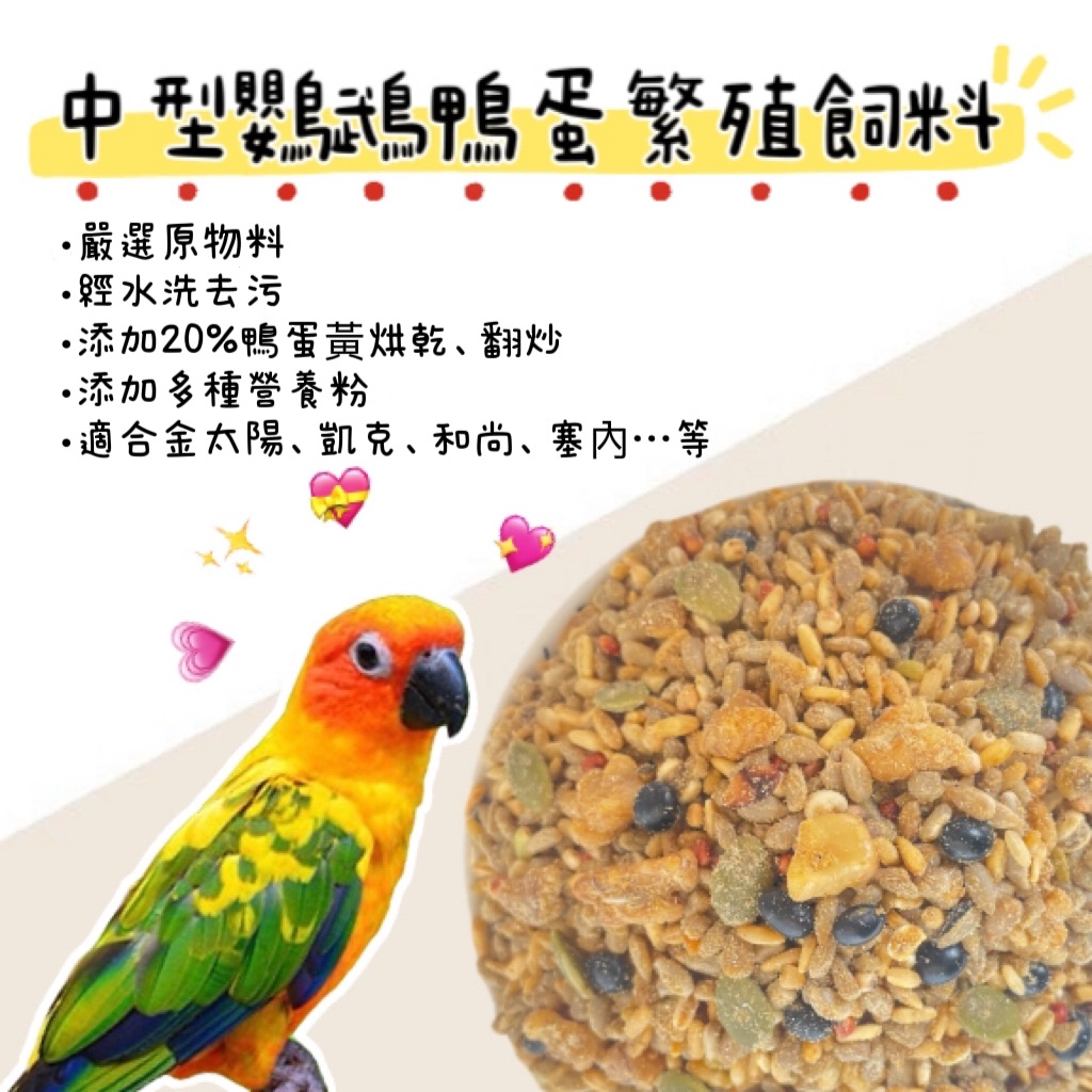 中型鸚鵡鴨蛋繁殖飼料