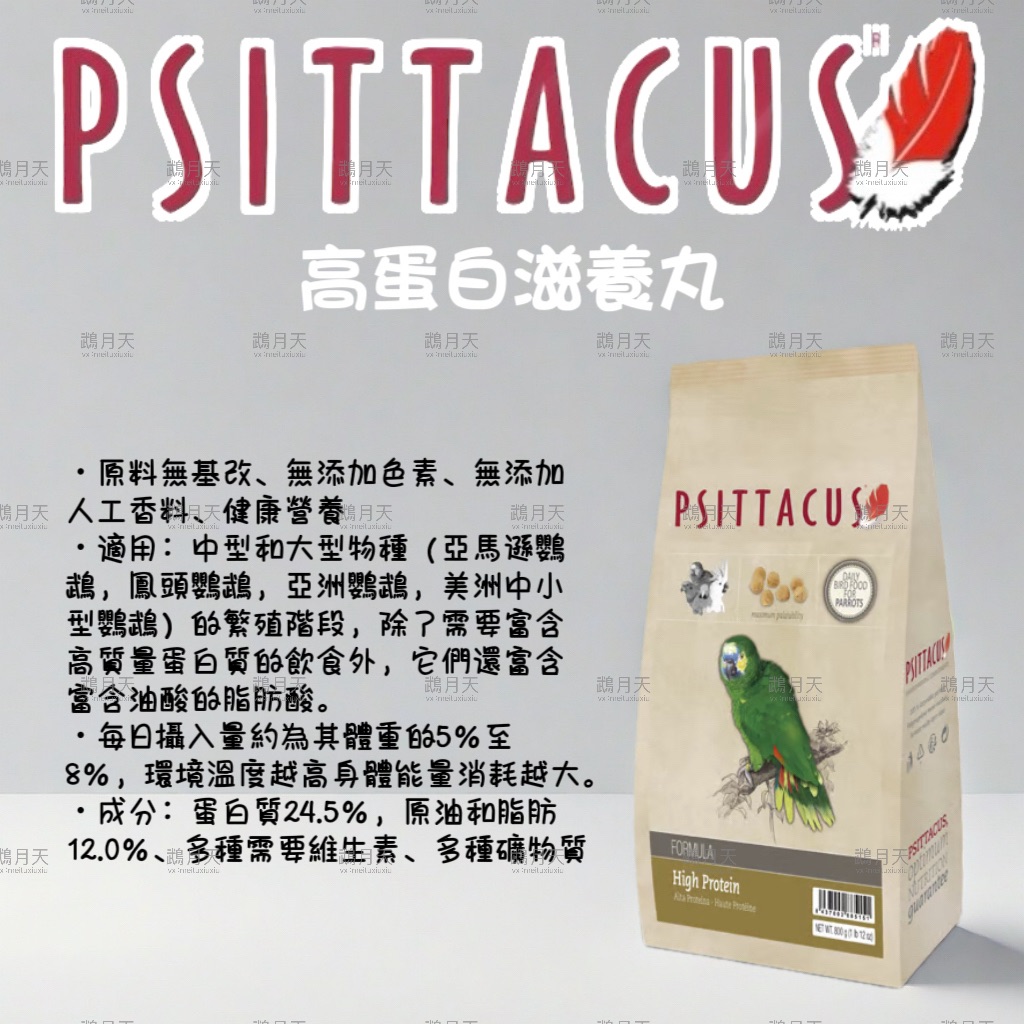 西班牙-帕特高蛋白滋養丸