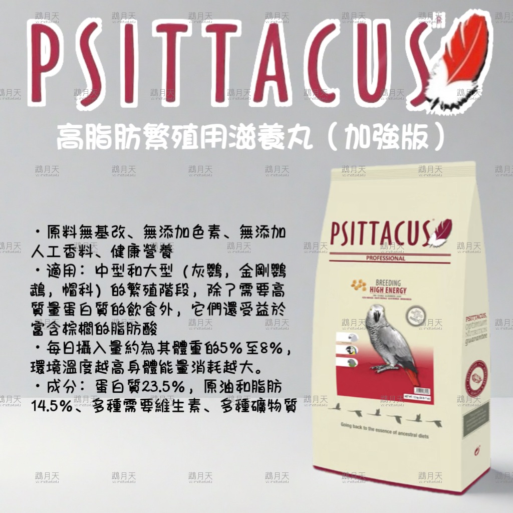 西班牙-帕特高脂肪繁殖用滋養丸（加強版）（1kg）