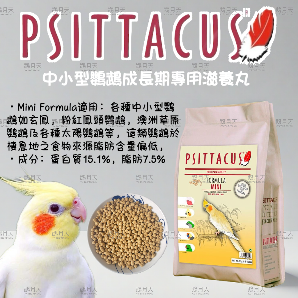 西班牙帕特中小型鸚鵡成長期專用滋養丸