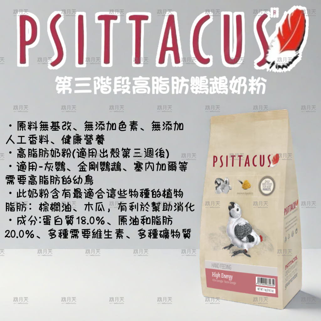 西班牙帕特第三階段高脂肪鸚鵡奶粉