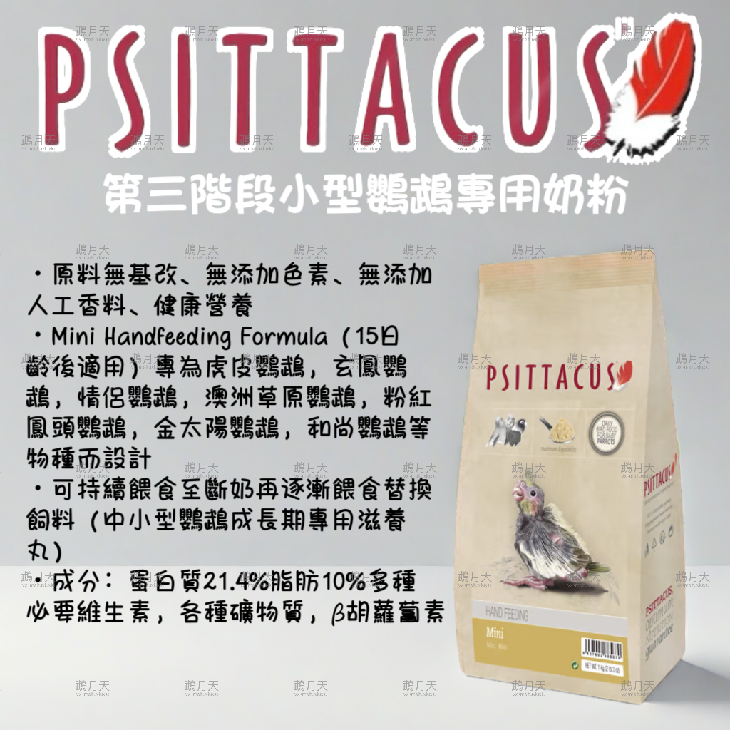 西班牙帕特第三階段小型鸚鵡專用奶粉