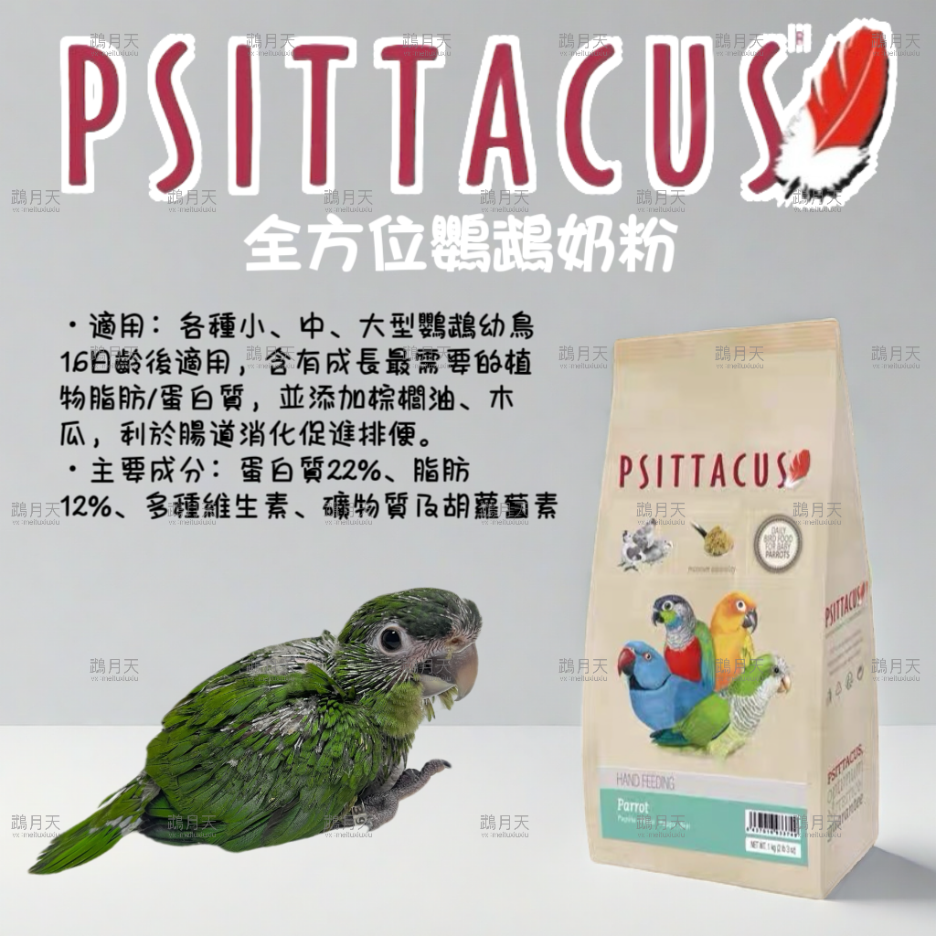 西班牙-帕特全方位鸚鵡奶粉