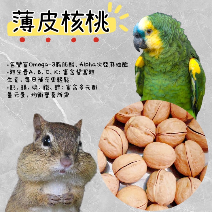 薄皮核桃 鸚鵡零食 鸚鵡獎勵品