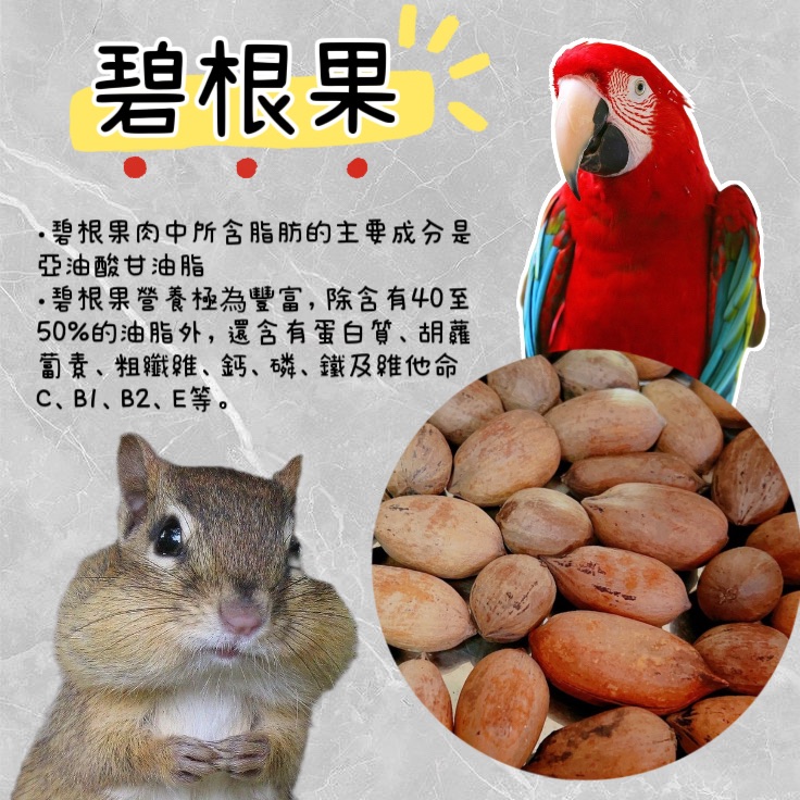 碧根果 山核桃 山胡桃 鸚鵡零食 鸚鵡獎勵品