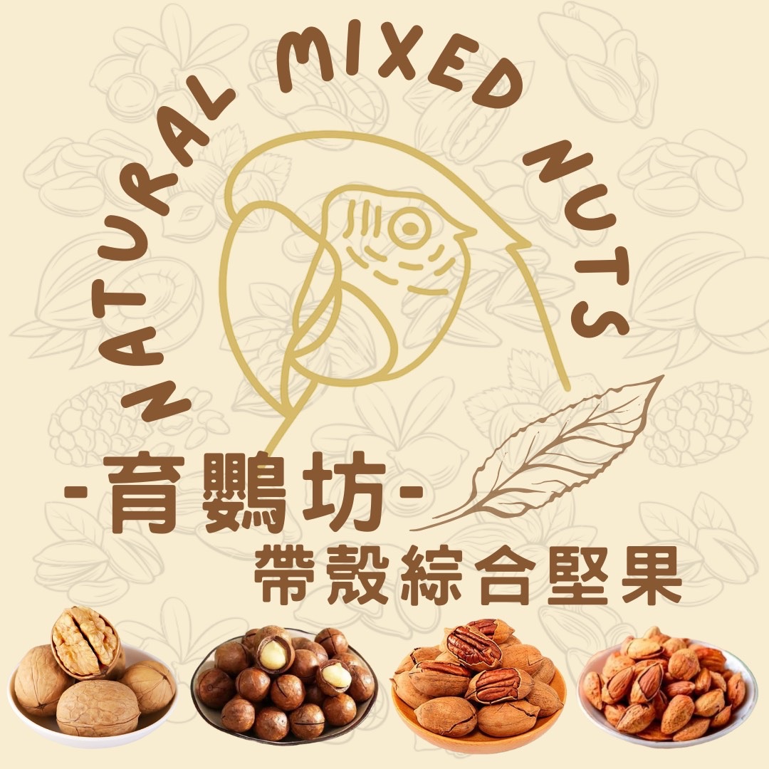 《帶殼》 綜合堅果包500g✨薄皮核桃、夏威夷果、碧根果、薄皮杏仁✨營養堅果