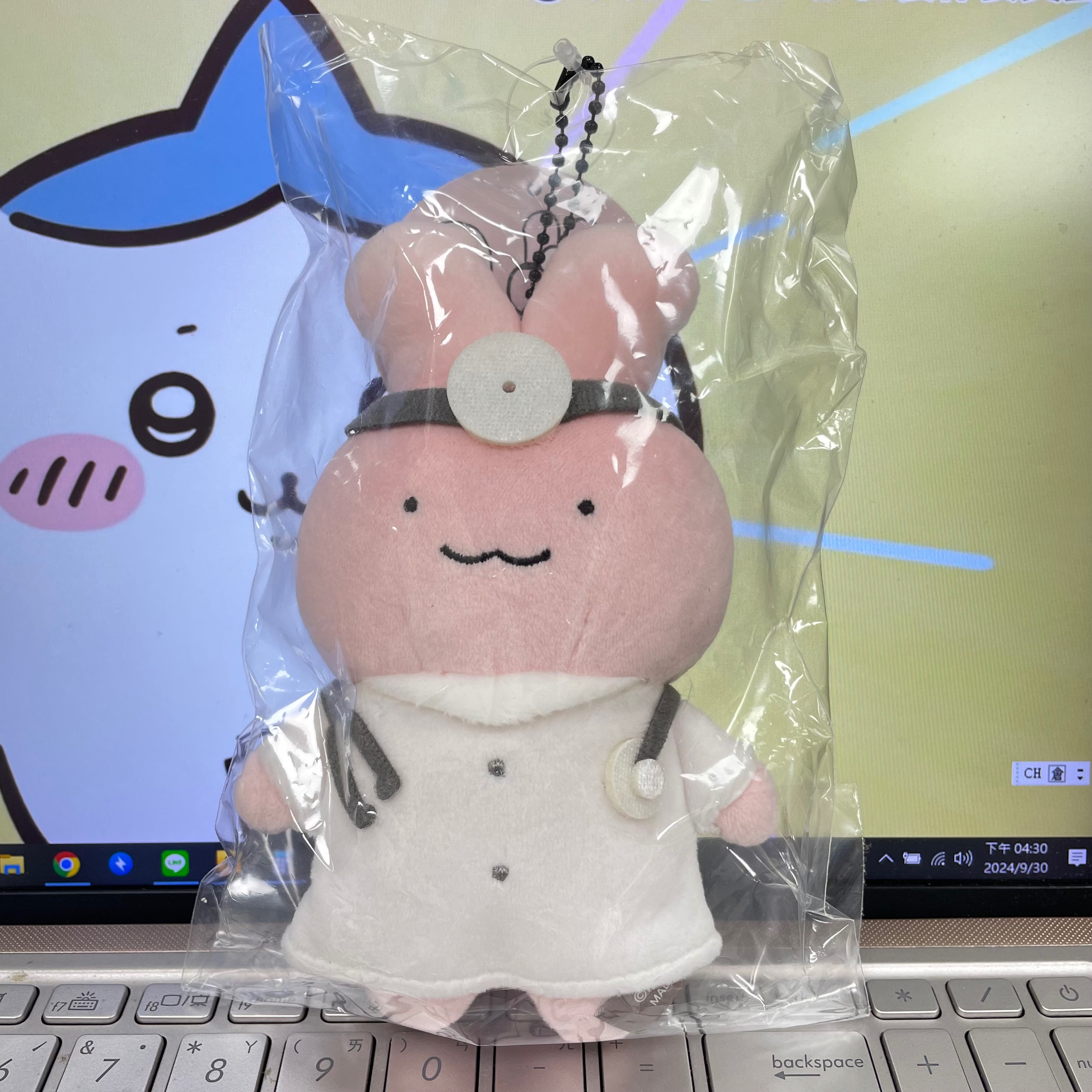 白虎與黑虎蝦/兔子醫生