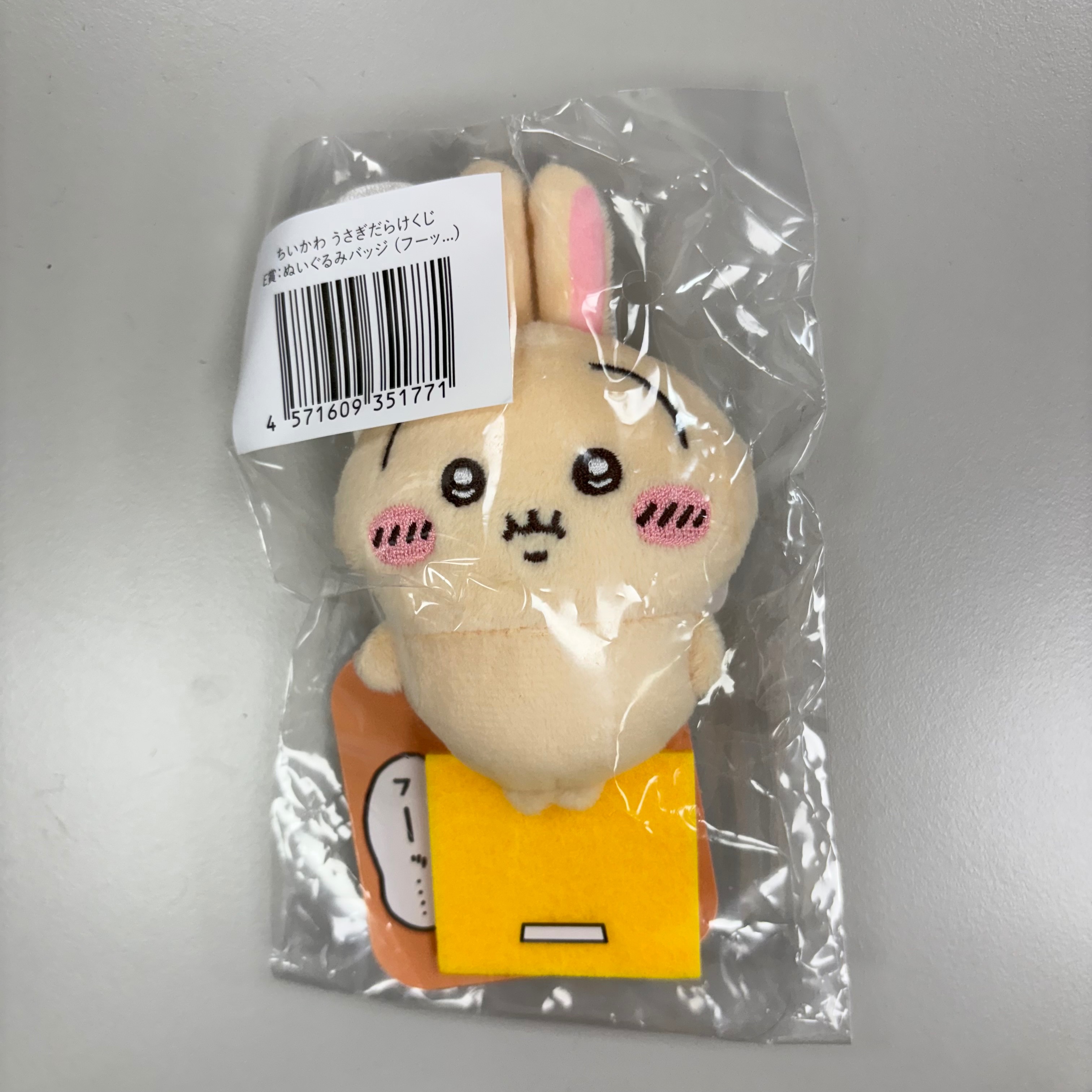 兔兔一番賞E賞-量體重兔哥