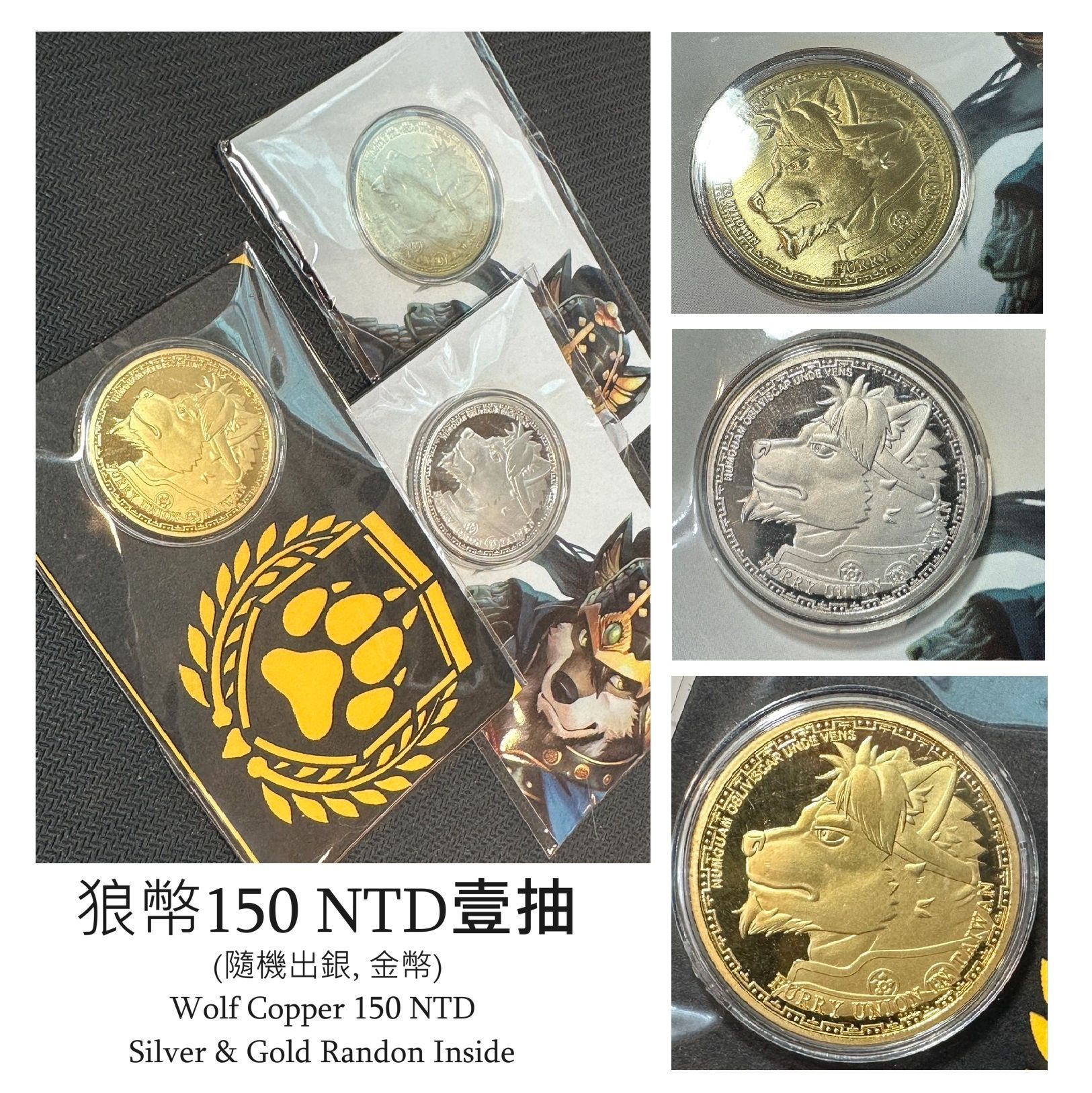 灰狼紹隆🐺錢幣🪙
