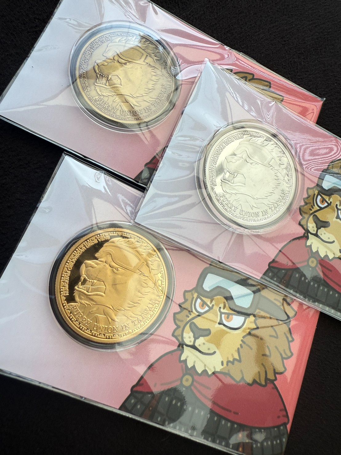 🆕獅子辛格🦁錢幣🪙