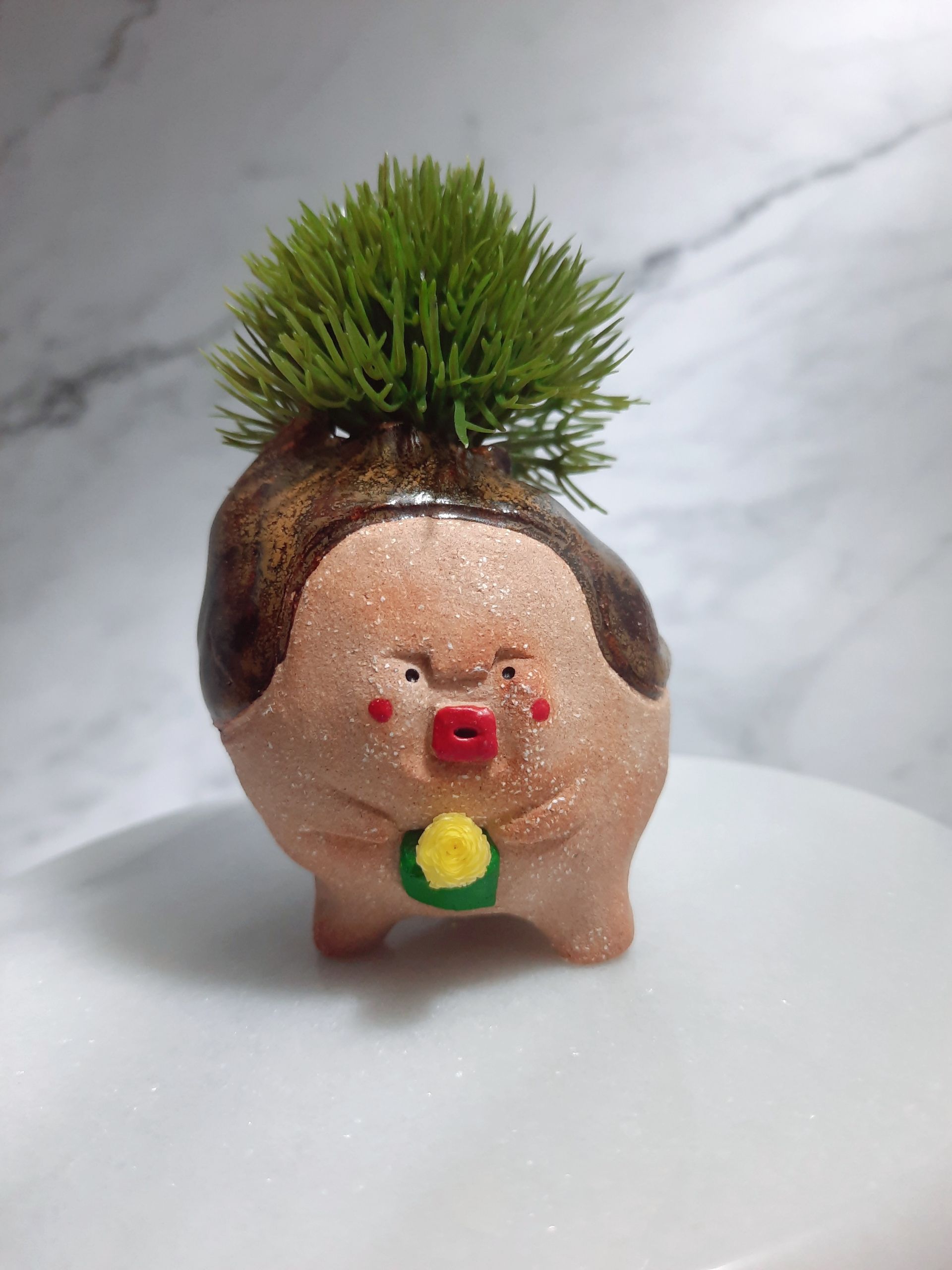 土魯植花 我最可愛