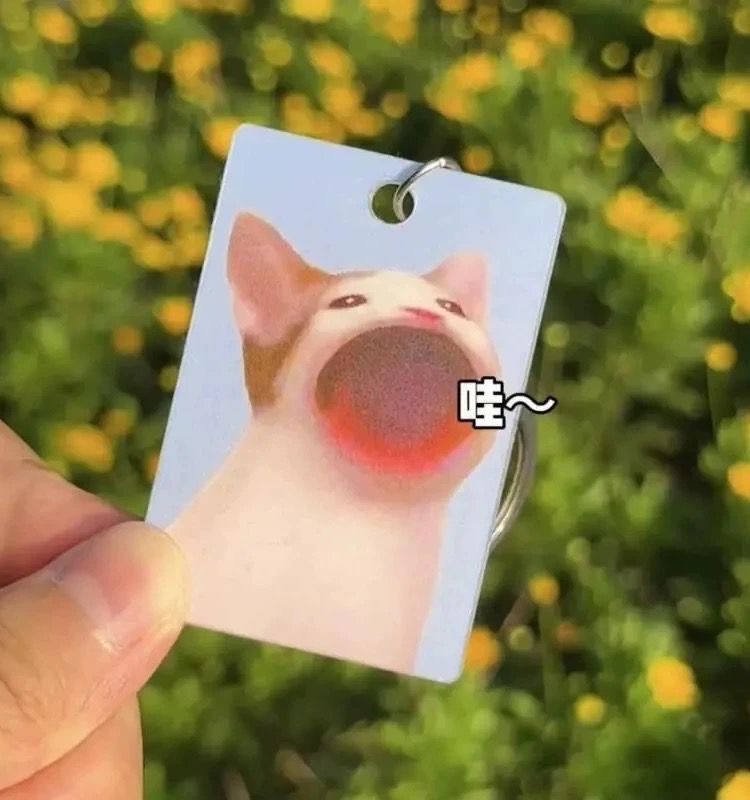 🐱哇哇小貓吊飾🐱