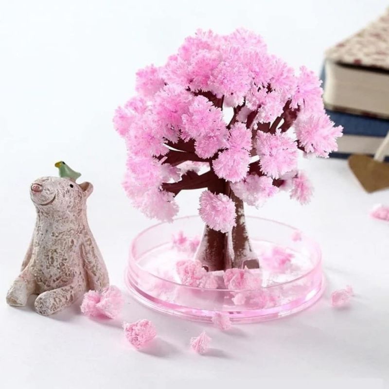 🌸當離別開出花🌸