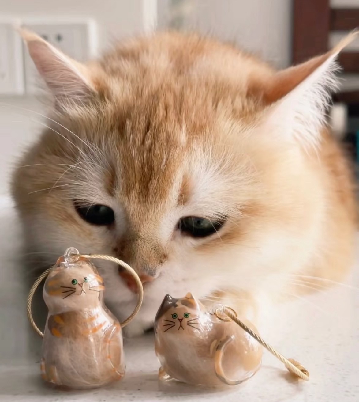 貓毛收集吊飾 扭蛋