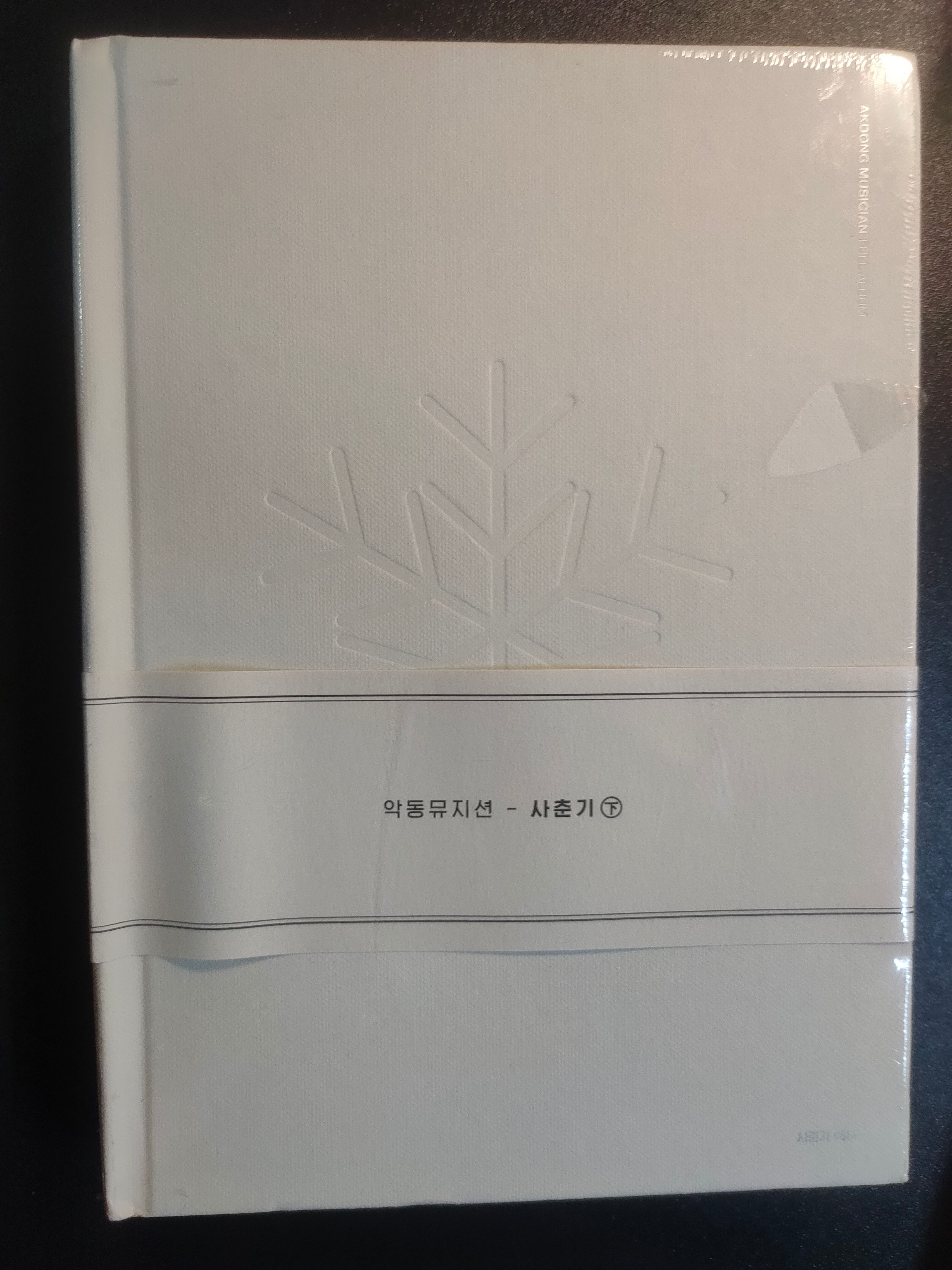 樂童音樂家 AKMU 思春記 下