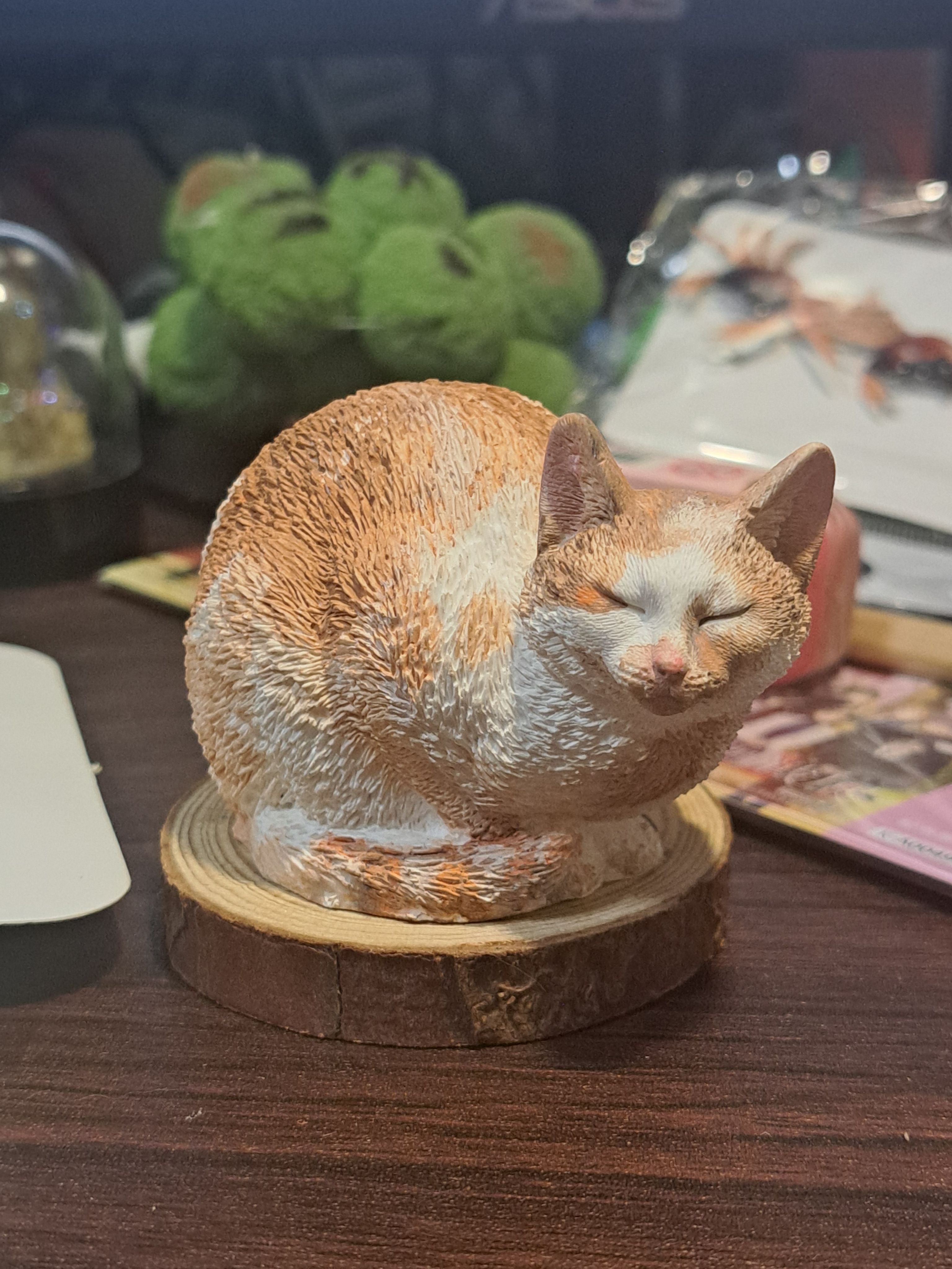 來自貓咪的陪伴
