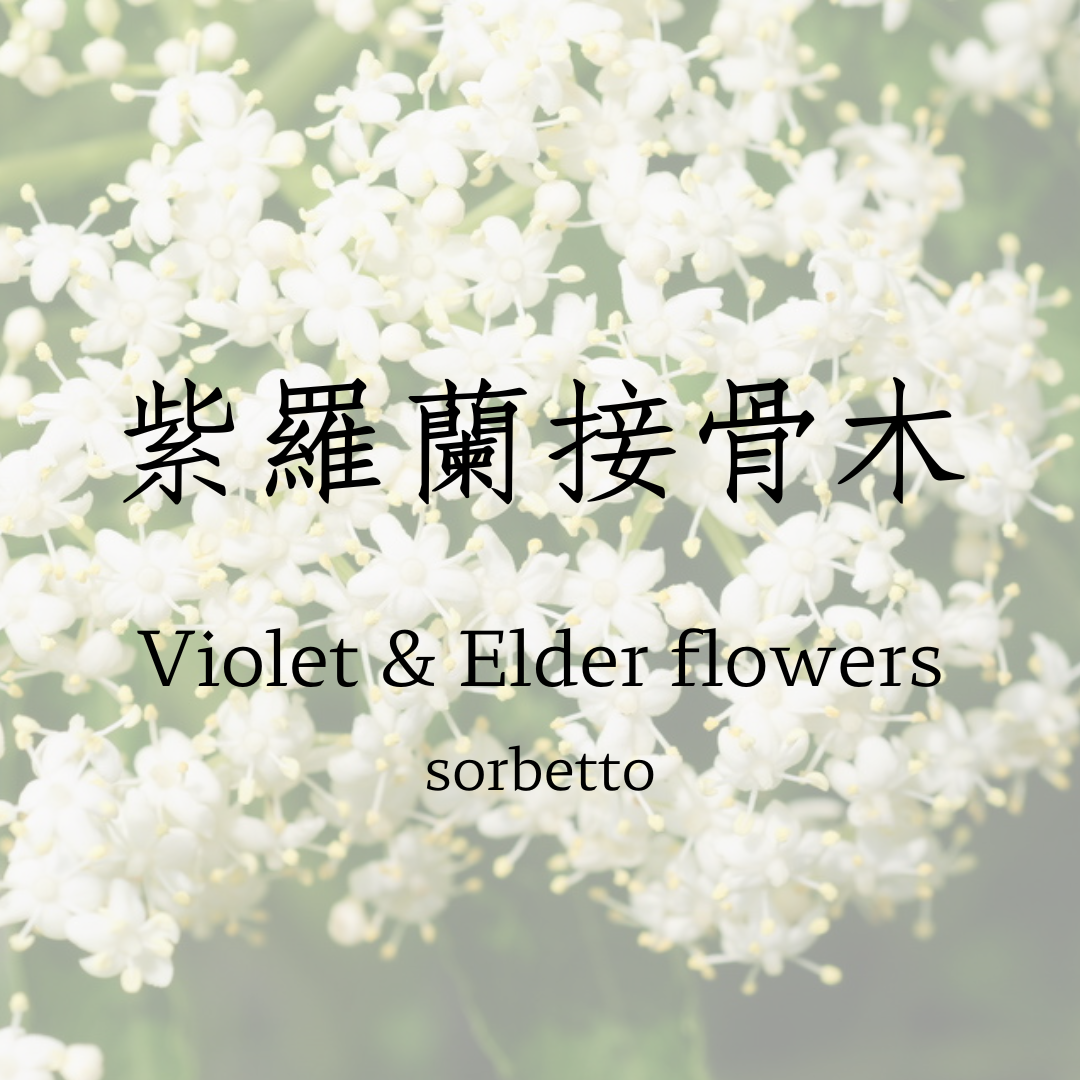 紫羅蘭接骨木 sorbetto