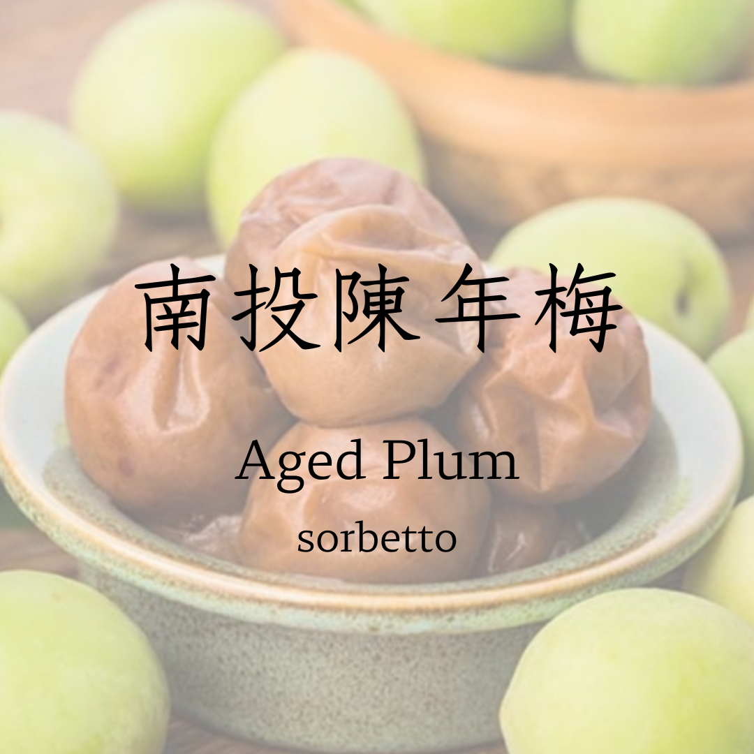 南投陳年梅   sorbetto   ❗僅此一桶❗