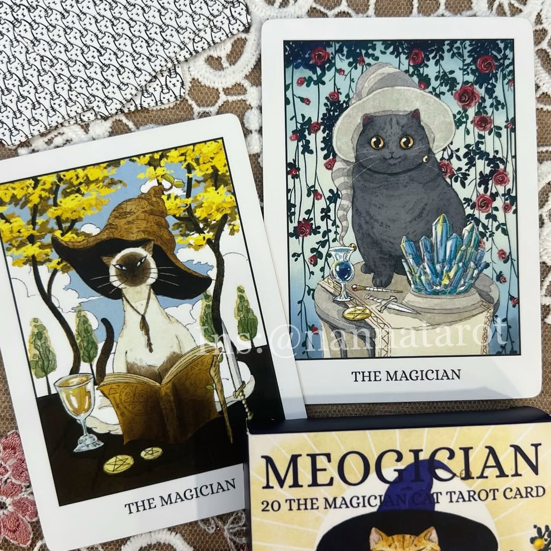 喵~術師塔羅🥀MEOGICIAN：20 The Magicin Cat Tarot