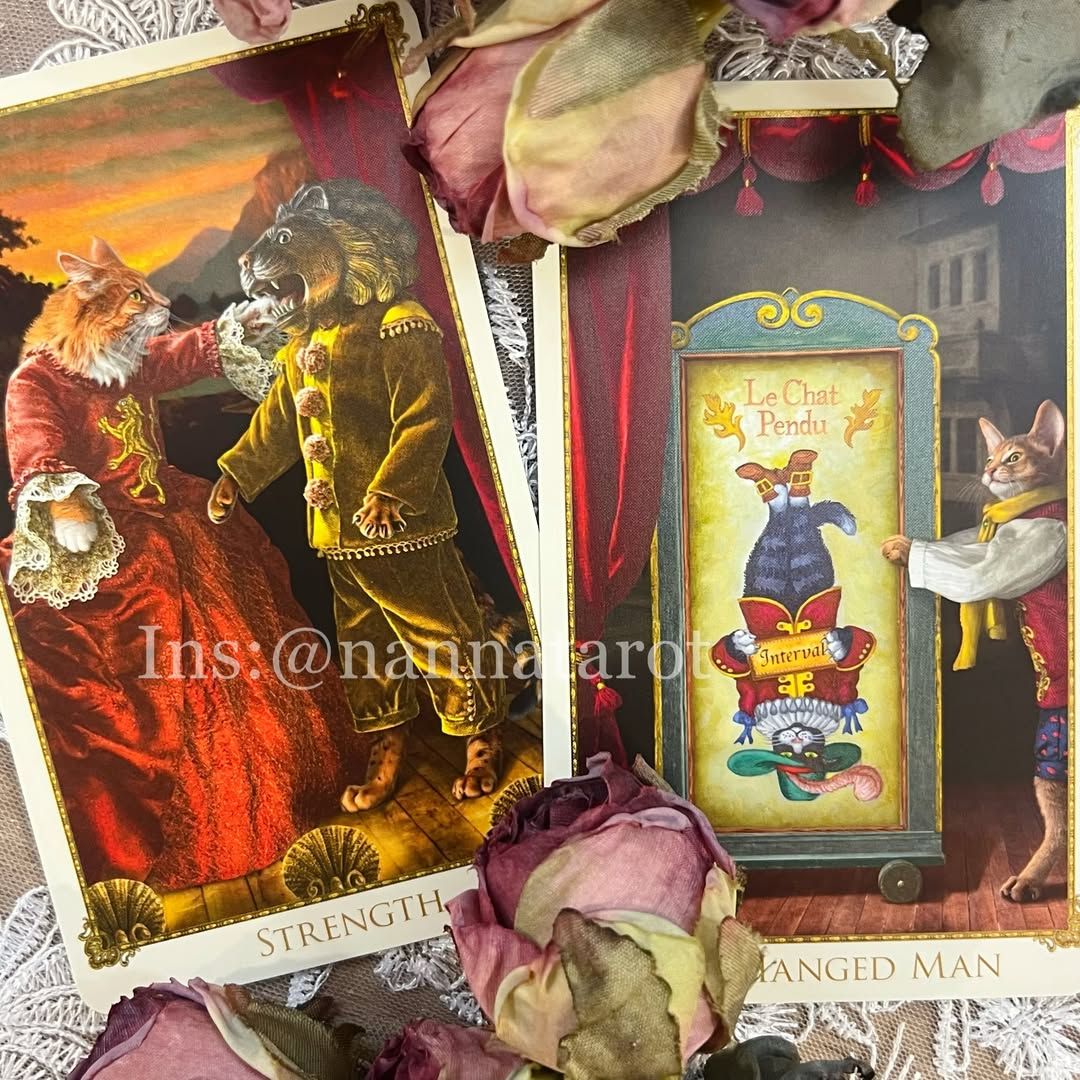 波西米亞貓劇院🥀The Bohemian Cats Theatre Tarot