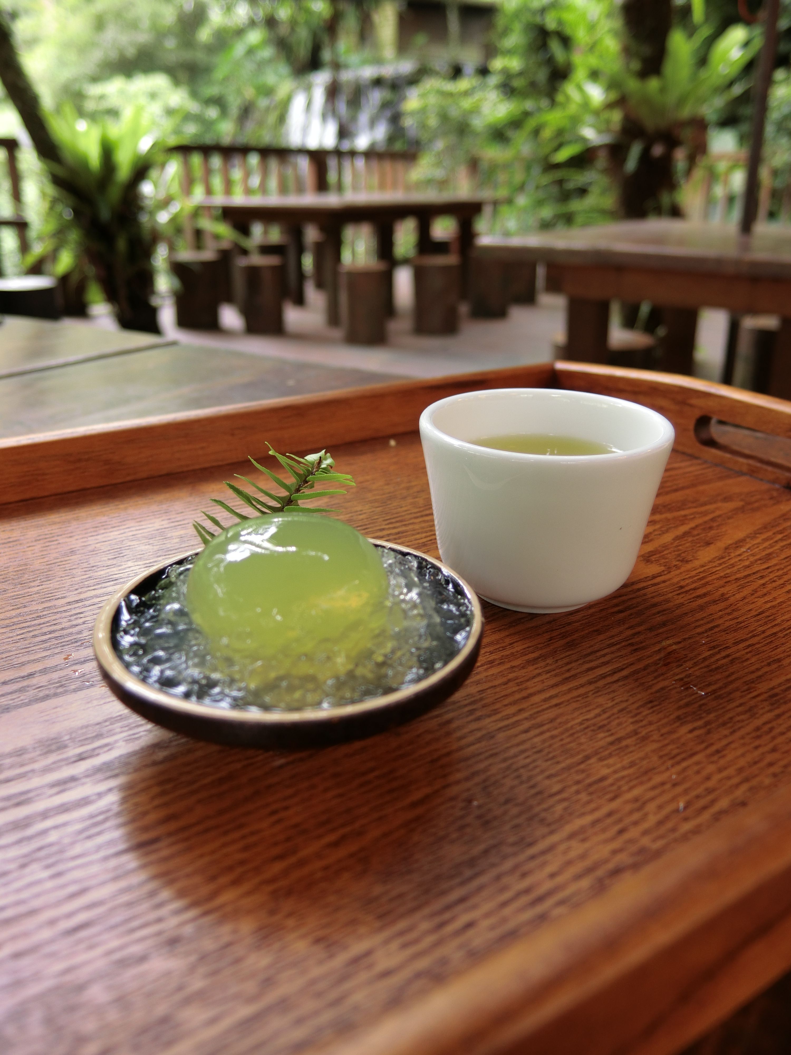 【千戶傳奇】鱘龍魚骨精粹，鱘龍骨膠、魚膠，萃取自鱘龍魚頭中骨，活水養殖，漁場直送