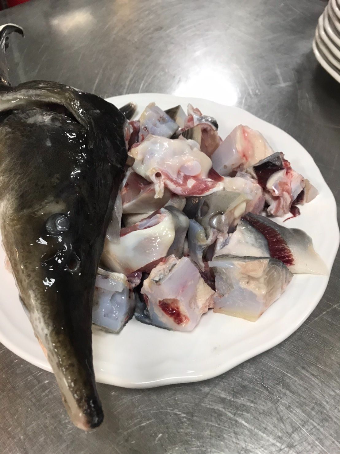 【千戶傳奇】鱘龍魚頭切塊，一包300元/300g，優質鱘龍骨膠、魚膠、膠原蛋白來源，漁場直送