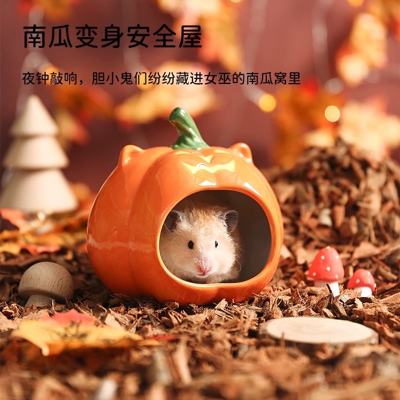 它適 南瓜躲避窩
