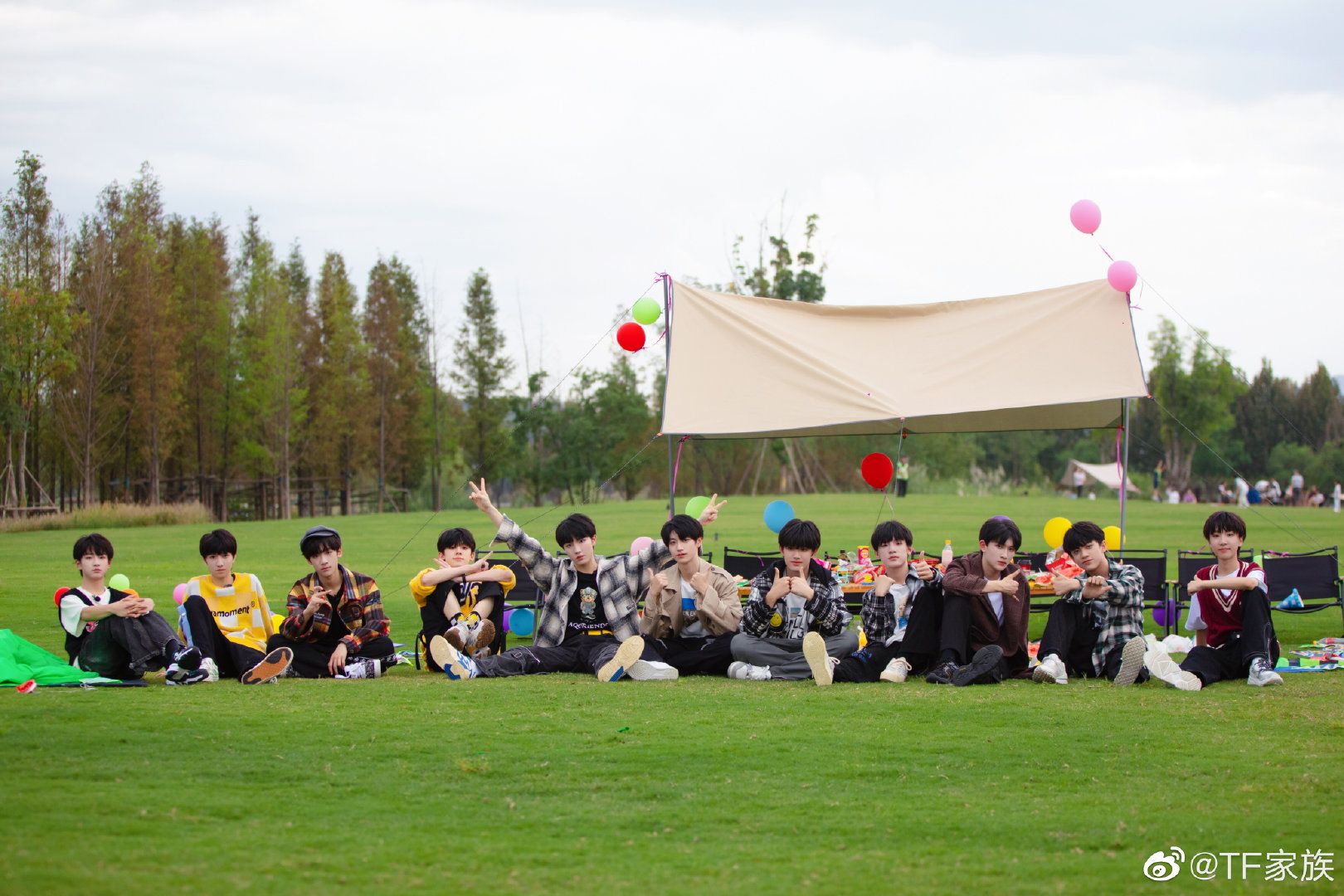 TF家族三代官周