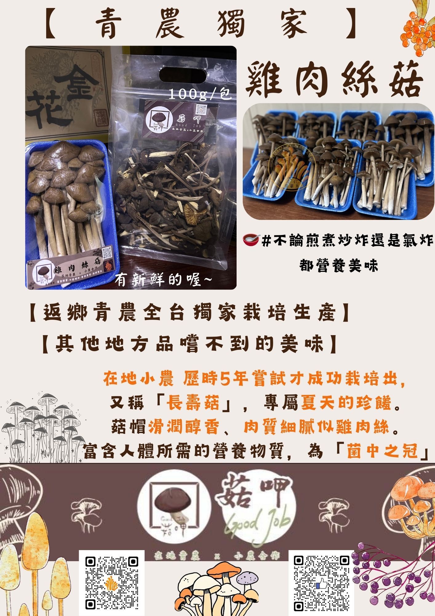 【🎉免運】【👑菇呷獨家】青農自產 雞肉絲菇 （乾） 🍄全台獨家自產