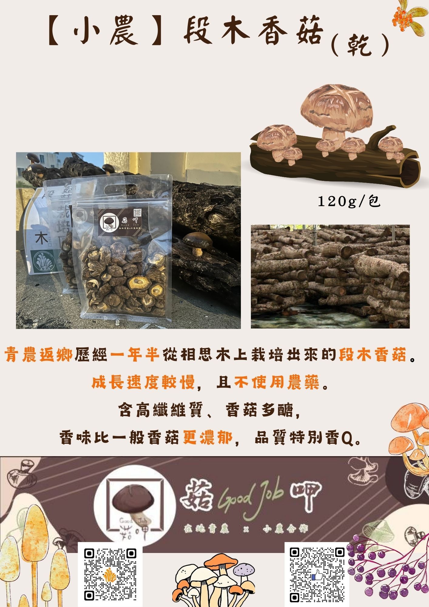 【🎉免運】【菇呷特選】小農自產 段木香菇 （乾，中小朵） 🍄香味相較一般乾香菇更加濃郁