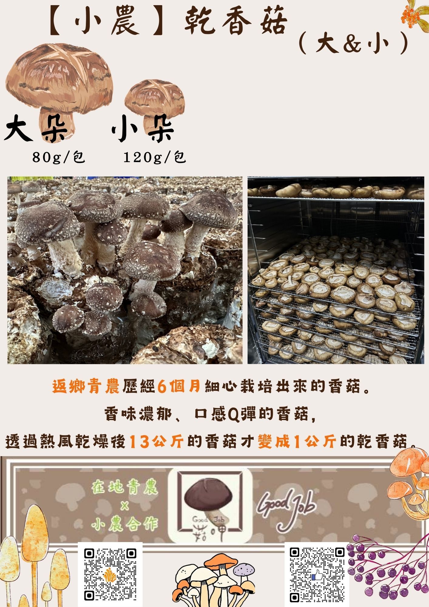 【🎉免運】【菇呷特選】小農自產 乾香菇 （大朵＆小朵） 🍄香味濃郁 新鮮Q彈