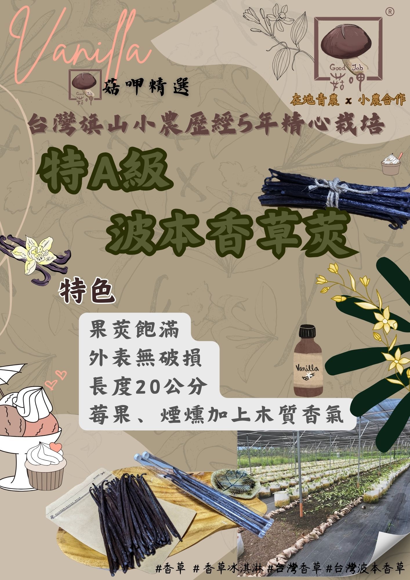 【🎉免運】【小農合作】 菇呷 特A級 波本 香草莢 20公分級 台灣 旗山