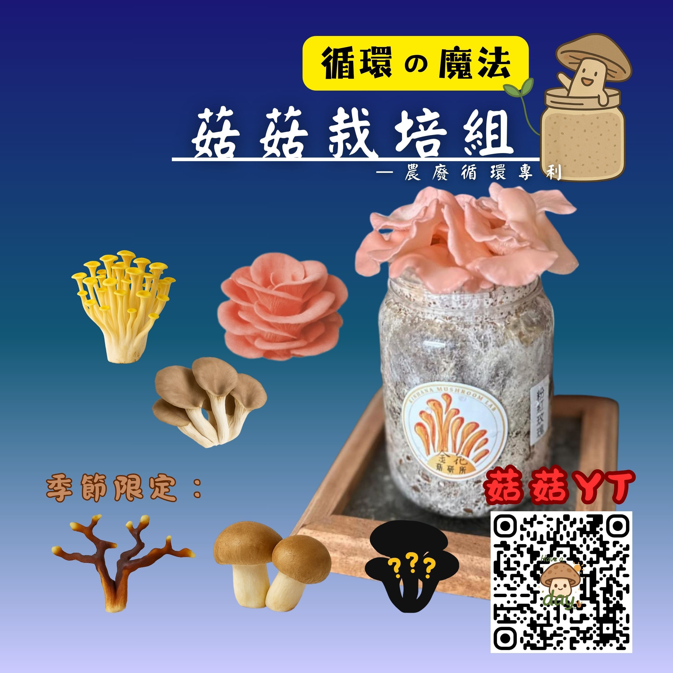 【👑全台獨家/送禮首選】菇菇栽培組