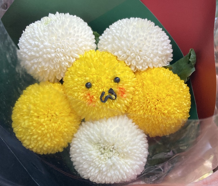 ✿漫畫相關✿