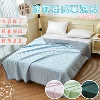 冰芯裸感被 【2024夏季新款】親膚細緻 輕薄透氣 多款顏色 涼感被 涼被
