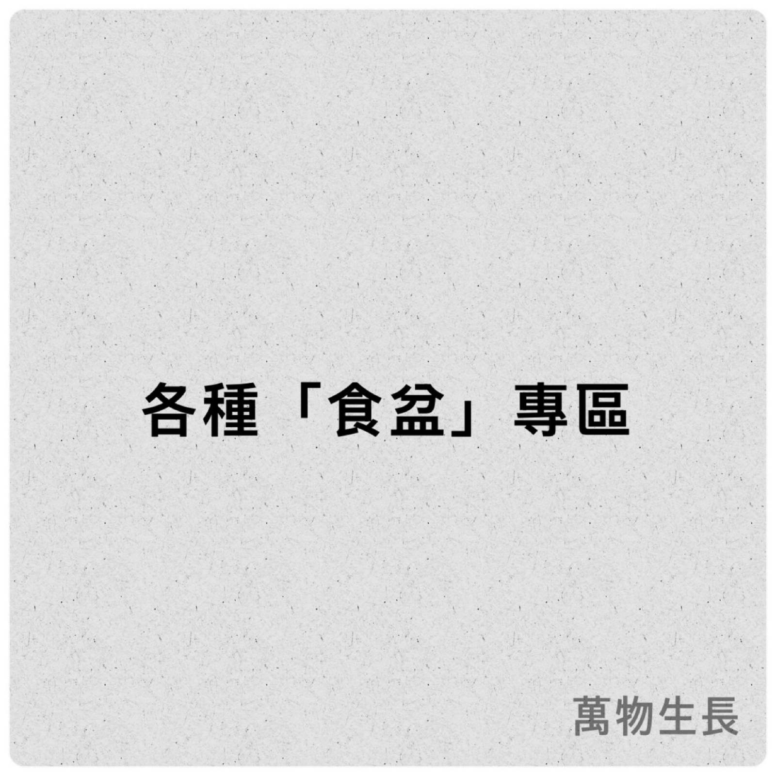 《萬物生長》 鼠婦食盆（預防飼料發霉）木頭食盆 小方食盆 爬蟲食盆 昆蟲食盆 鼠婦 爬蟲 昆蟲