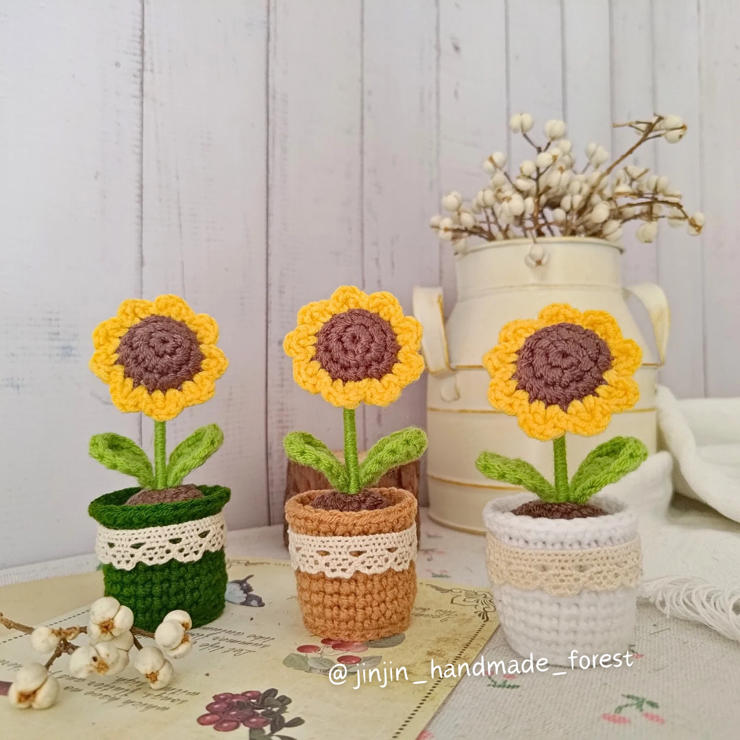 🌻向日葵小盆栽（預購中）