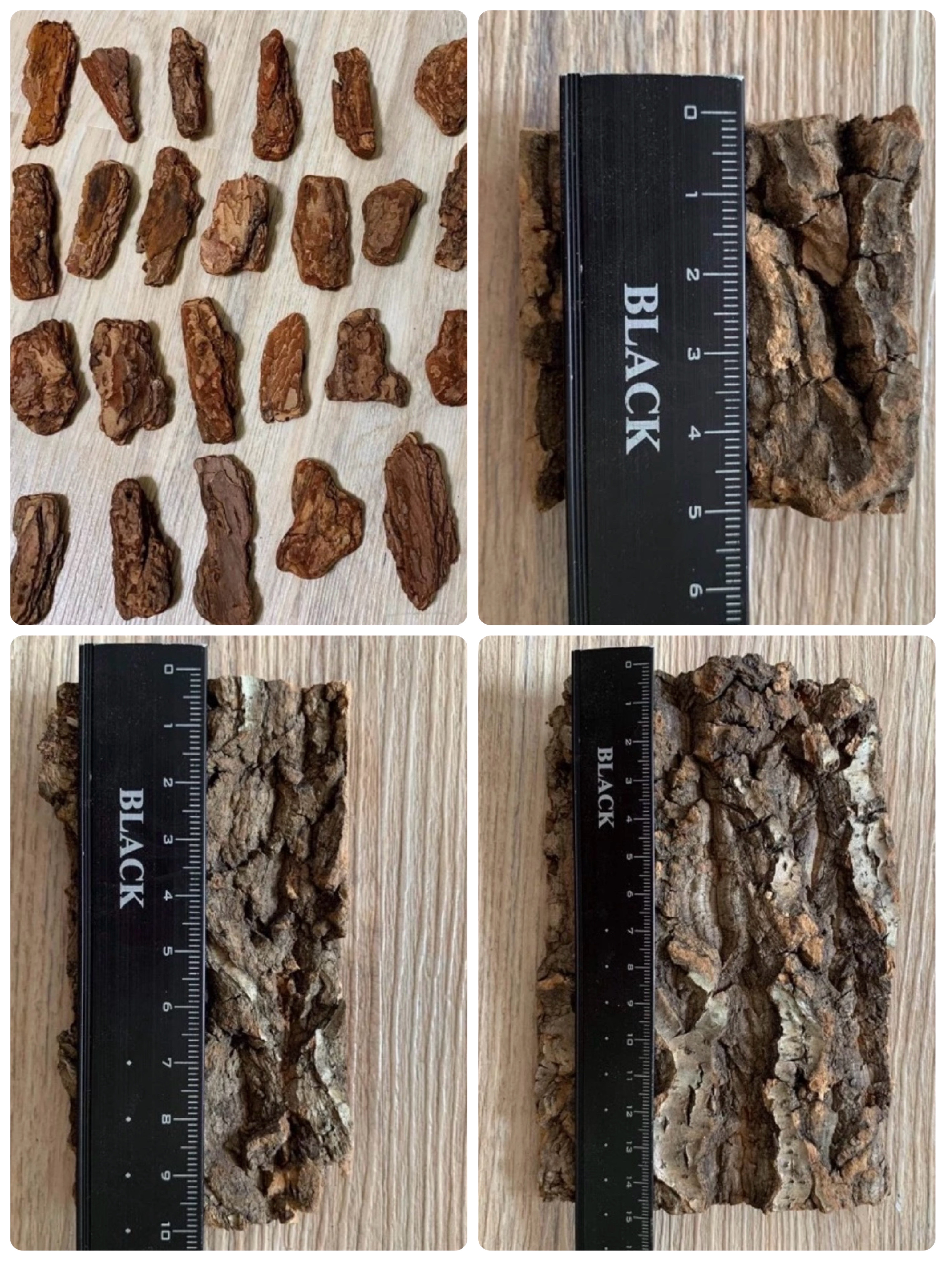 《心有所鼠》樹皮