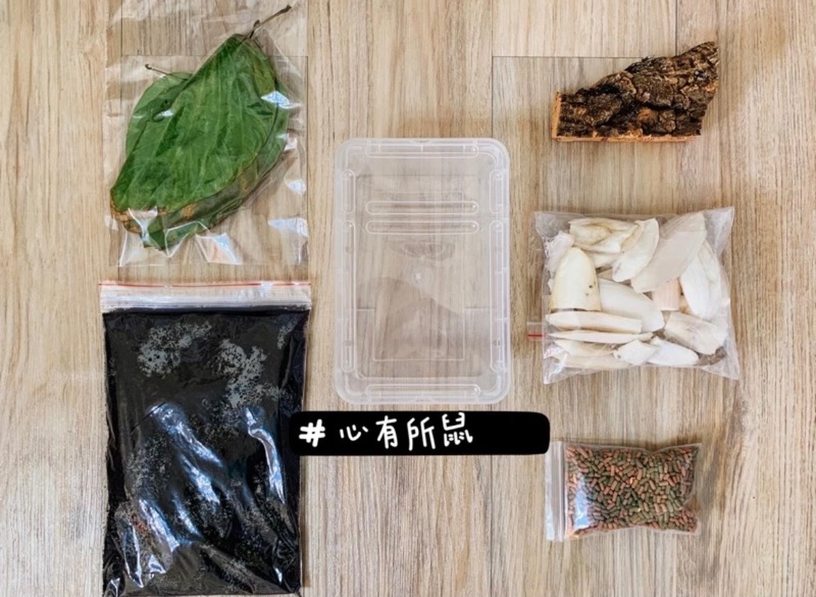《心有所鼠》飼養套組