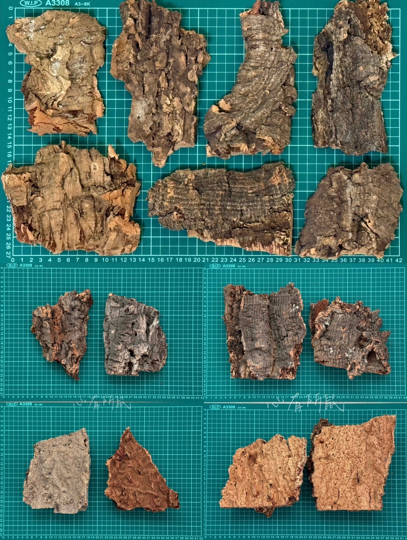 特選微拱厚樹皮