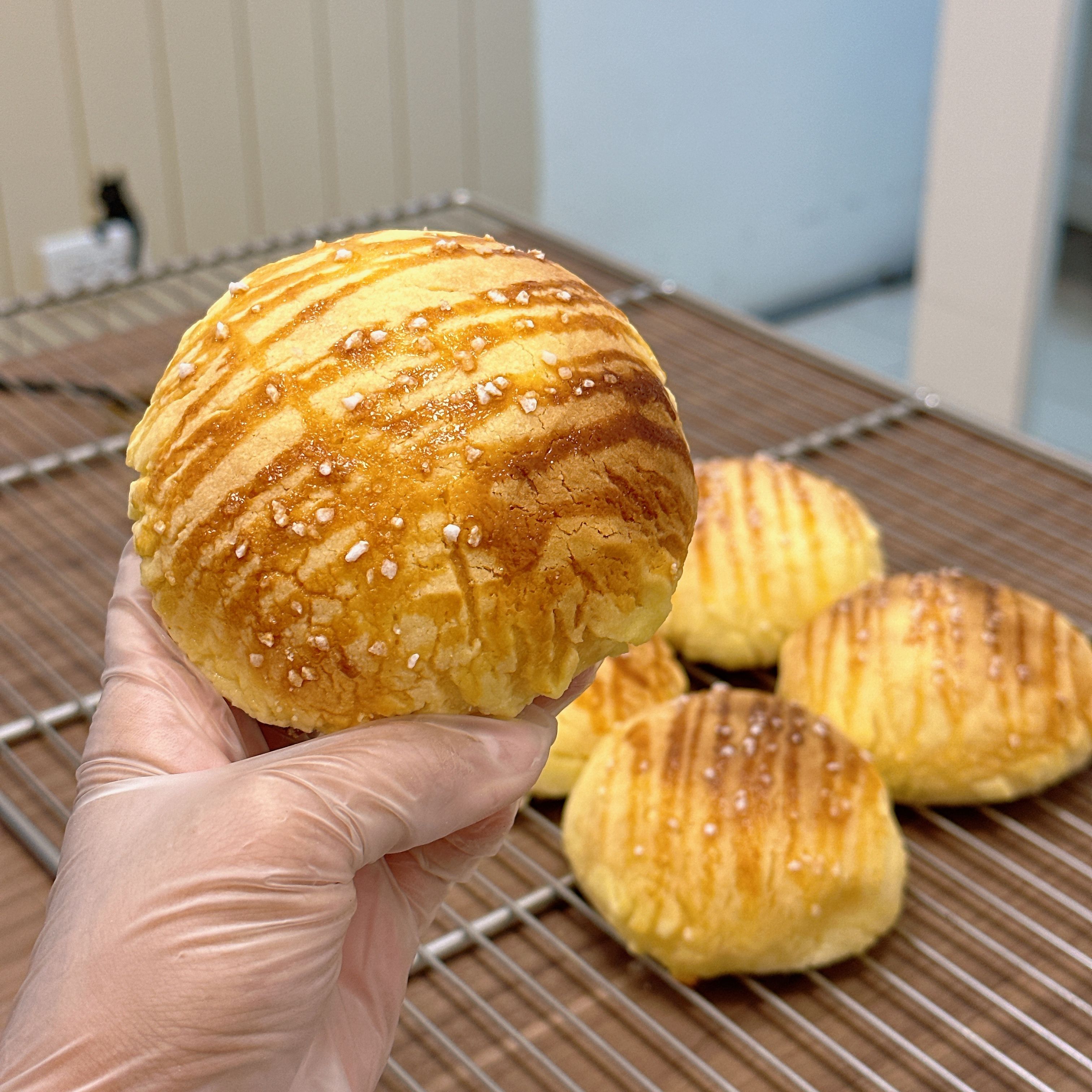 👨🏻‍🍳星野小菠👨🏻‍🍳