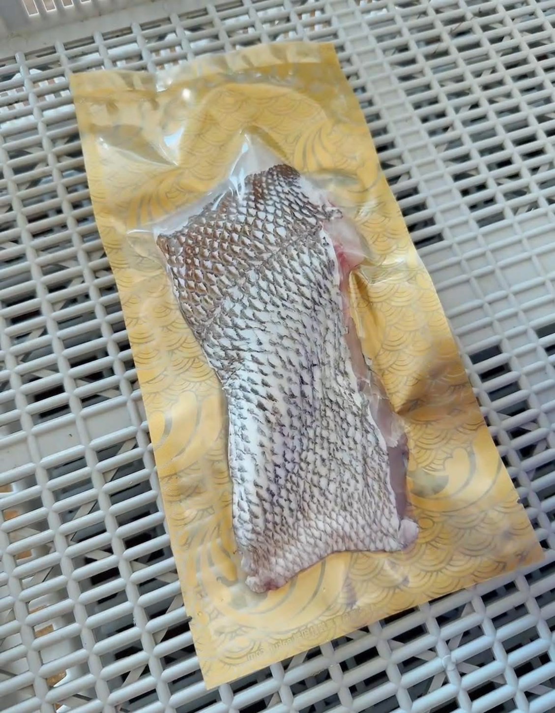 澎湖加志魚排