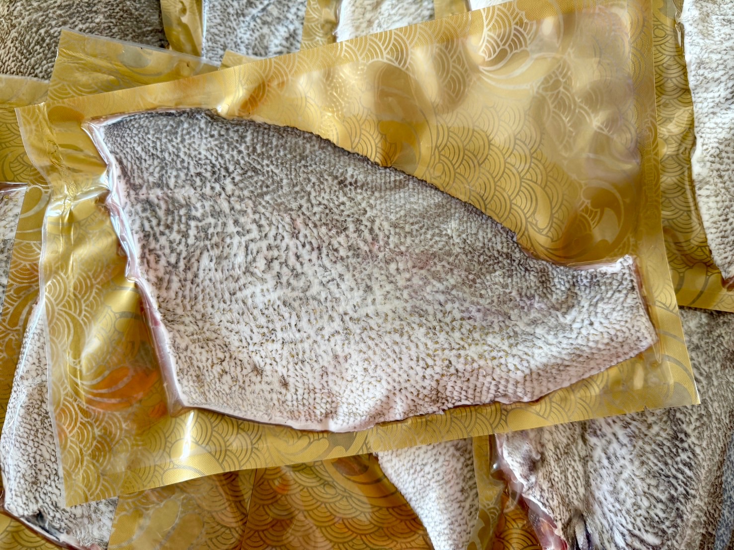 澎湖野生加志魚排