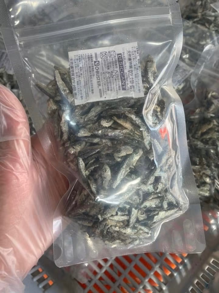 澎湖小扁魚魚乾