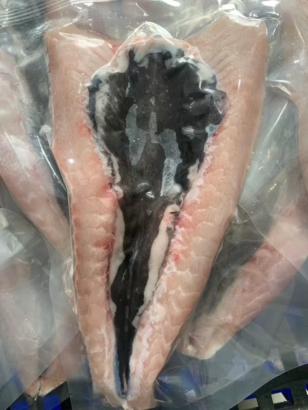 無刺虱目魚肚