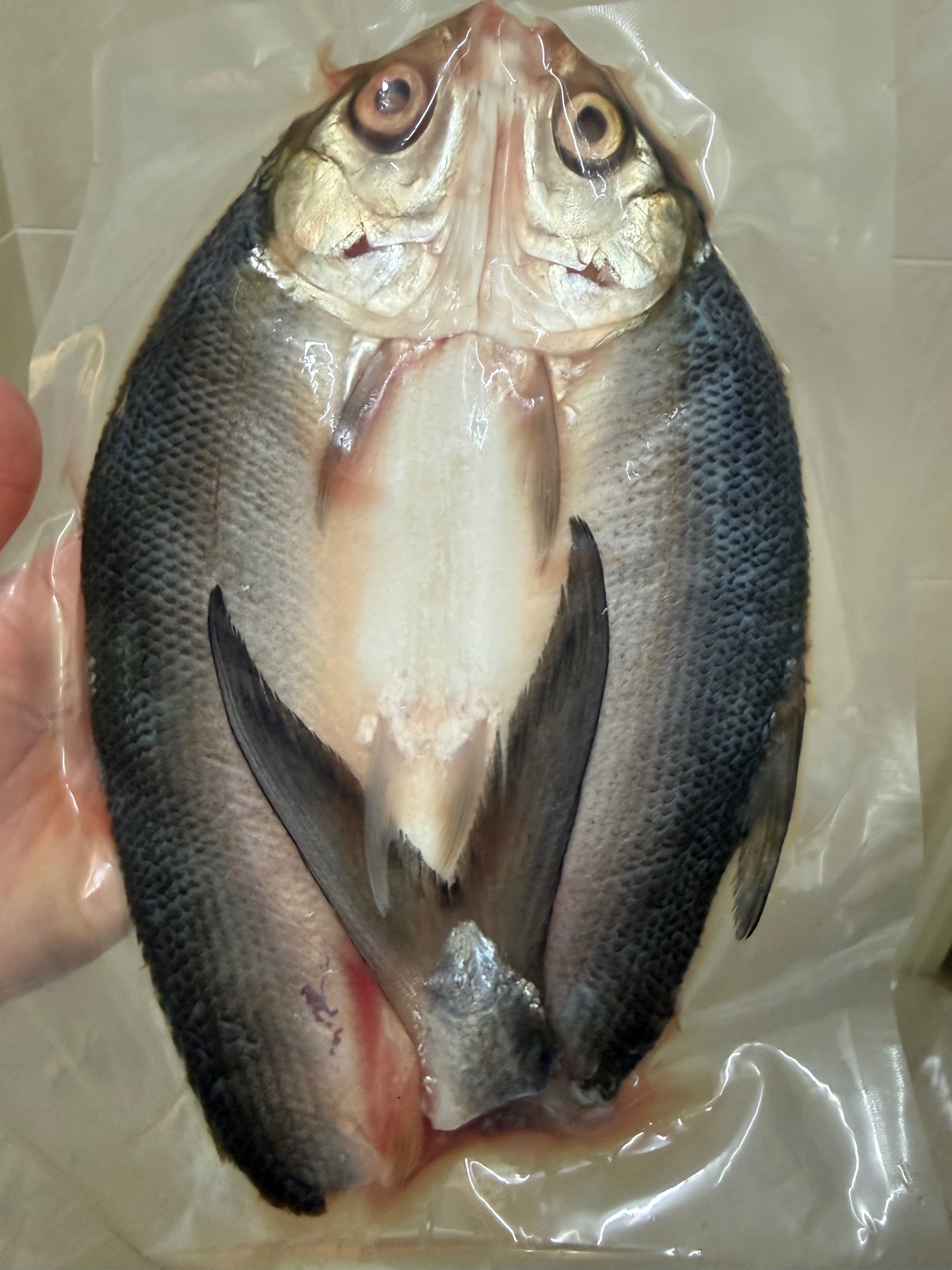 無刺虱目魚（整尾）